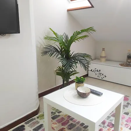 Coqueto Atico En Apartment